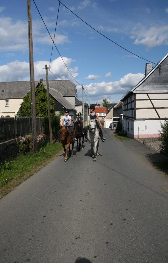 Pferd - Spass - Entspannung Staitz Exterior photo
